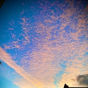 Meet your Posher, Carlos